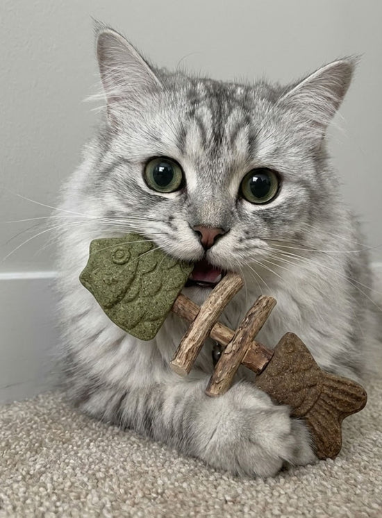 Catnip & Silvervine Chew