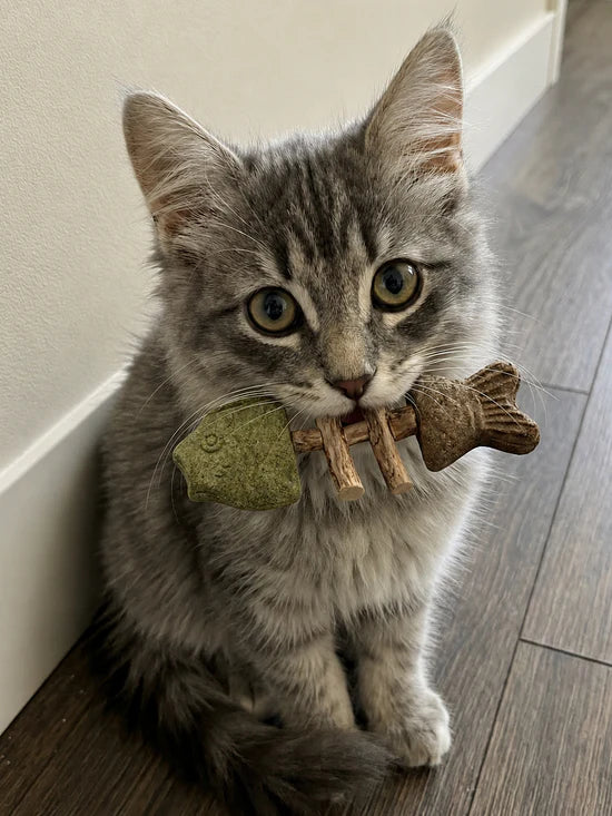 Catnip & Silvervine Chew