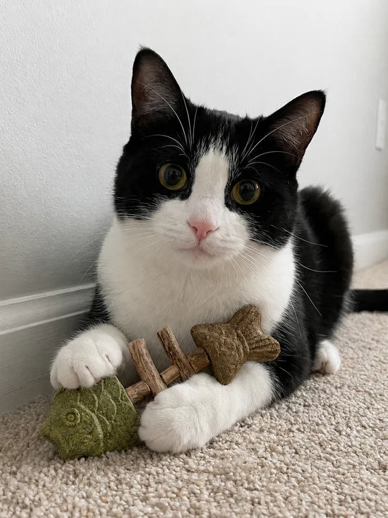 Catnip & Silvervine Chew