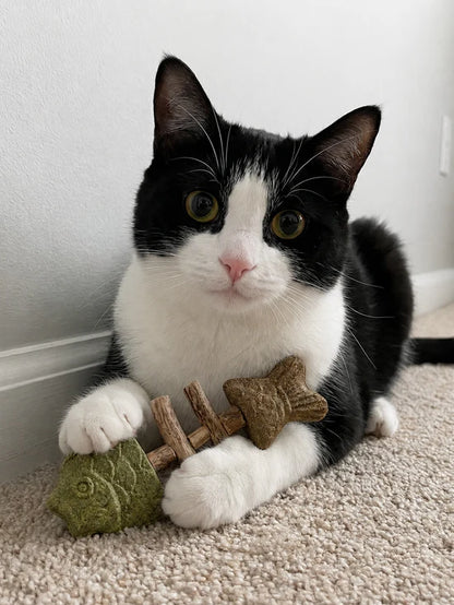 Catnip & Silvervine Chew