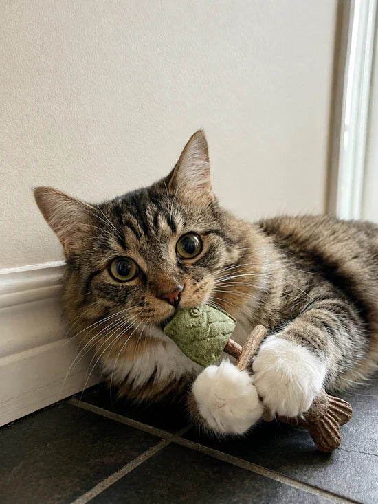 Catnip & Silvervine Chew