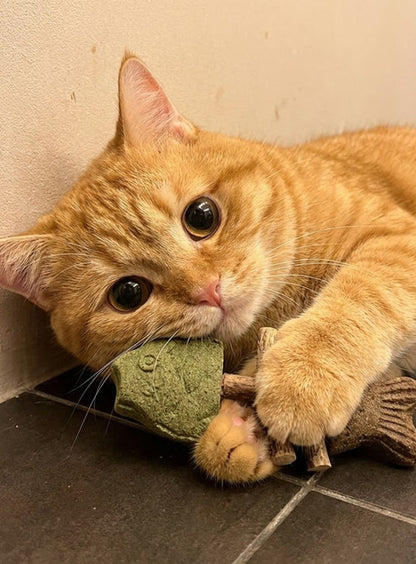 Catnip & Silvervine Chew