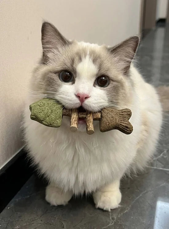 Catnip & Silvervine Chew