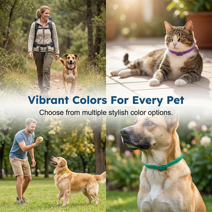 Natural Essential Oil Pet Pest Repellent Collar