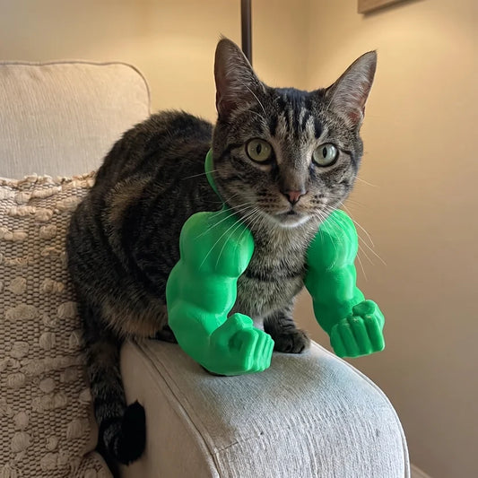 The Buff Cat Arms Everyone's Meme-ing.