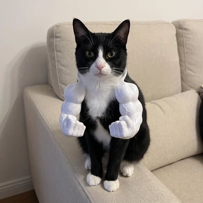 The Buff Cat Arms Everyone's Meme-ing.