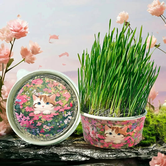 🌿 Premium Organic Cat Grass